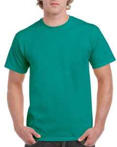 Gildan G200 - Ultra Cotton® 6 oz. T-Shirt (2000)