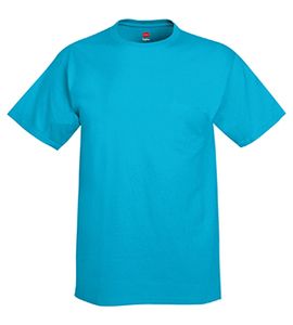 Hanes 5250 - Tagless® T-Shirt