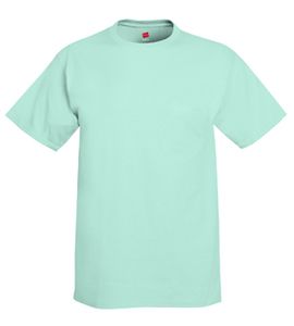 Hanes 5250 - Tagless® T-Shirt Clean Mint