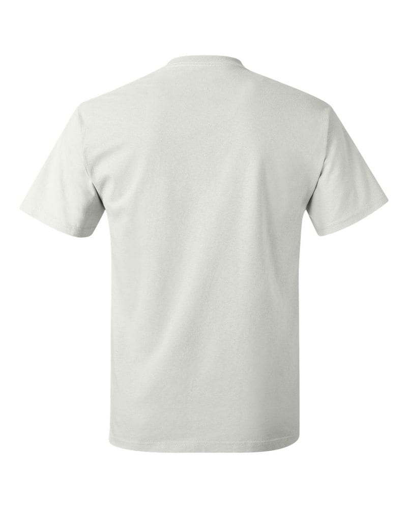 Hanes 5250 - Tagless® T-Shirt