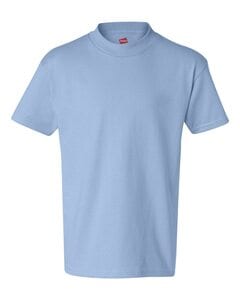 Hanes 5450 - Youth Authentic-T T-Shirt  Light Blue