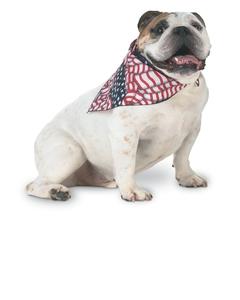 Doggie Skins 3905 - Doggie Bandana