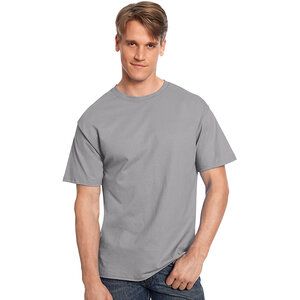 Hanes 5250 - Tagless® T-Shirt